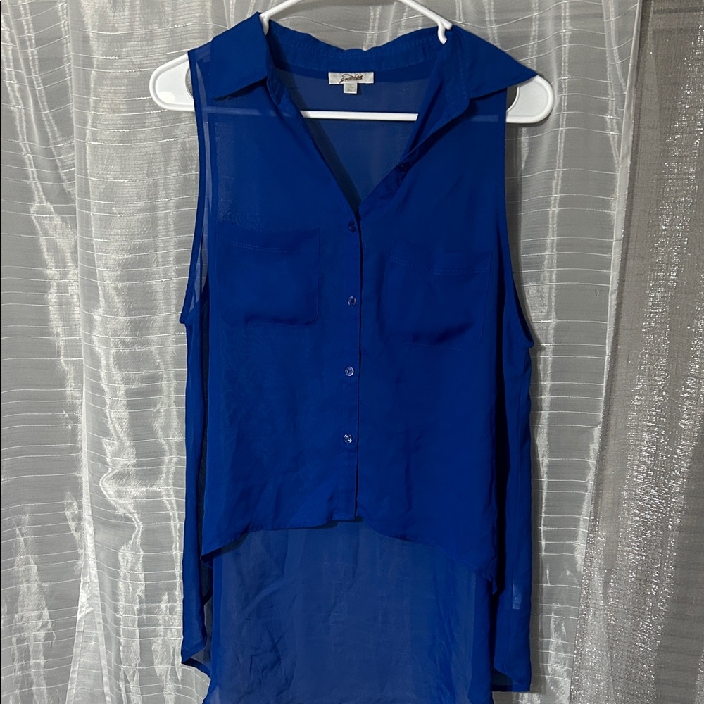 Blue Sleeveless Sheer Blouse